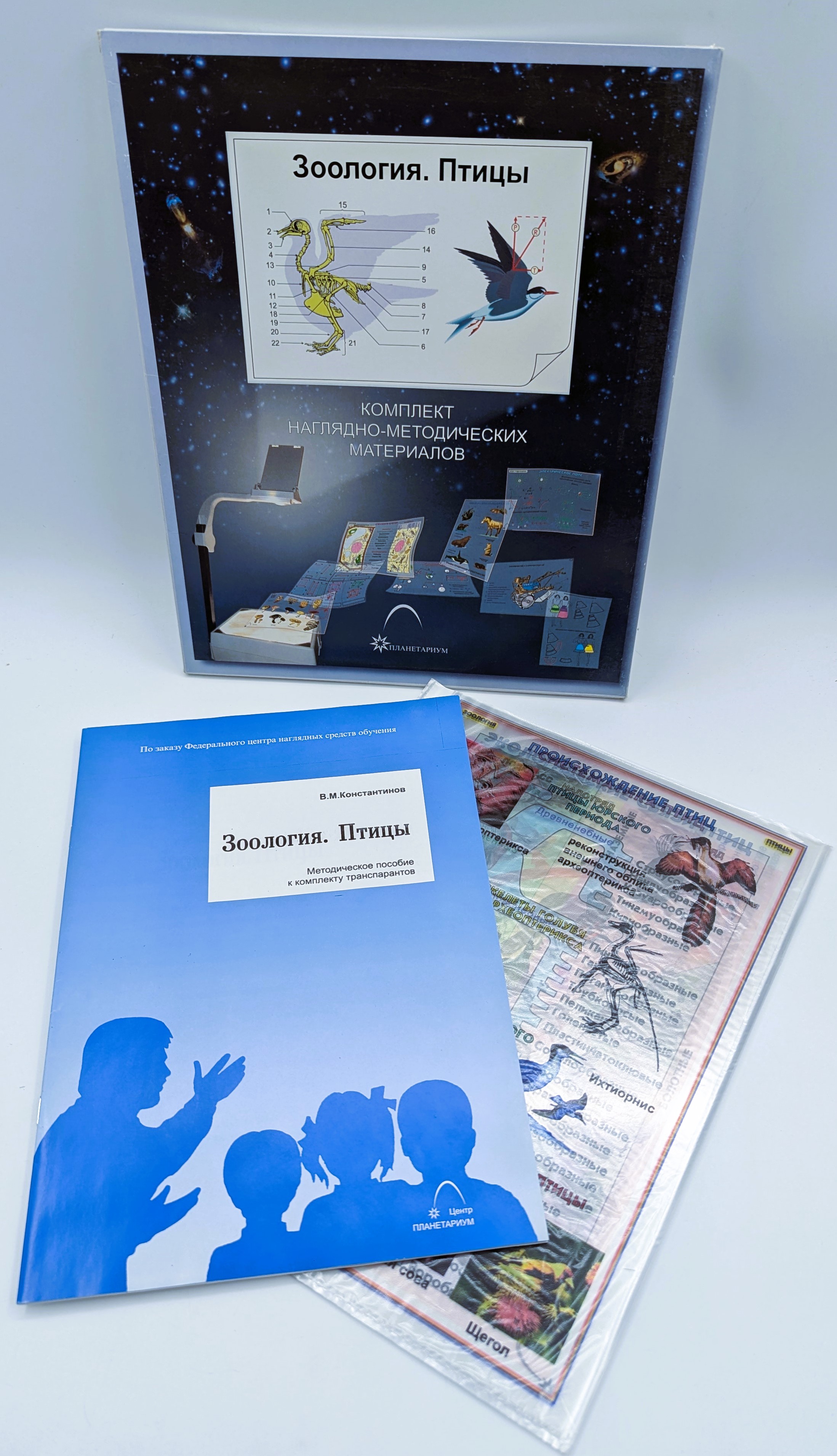 PXL_20241022_080049011
