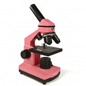 Микроскоп Levenhuk Rainbow 2L NG RoseРоза